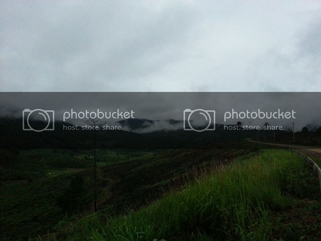 20130601_163004_zps38351b9a.jpg