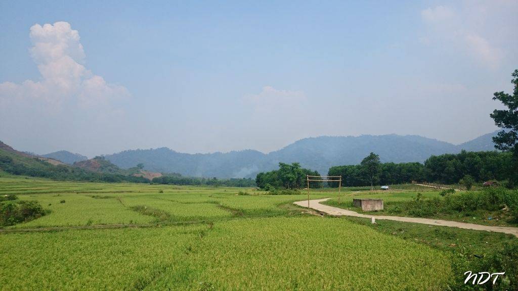 DSC_5102.jpg