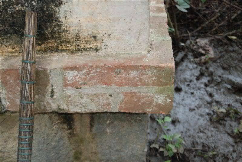 DSC_6072.jpg