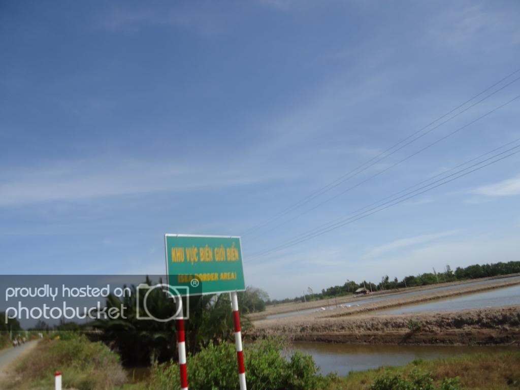 DSC07303_zps9d360212.jpg