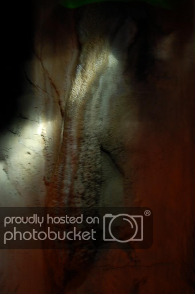 DSC_0087.jpg