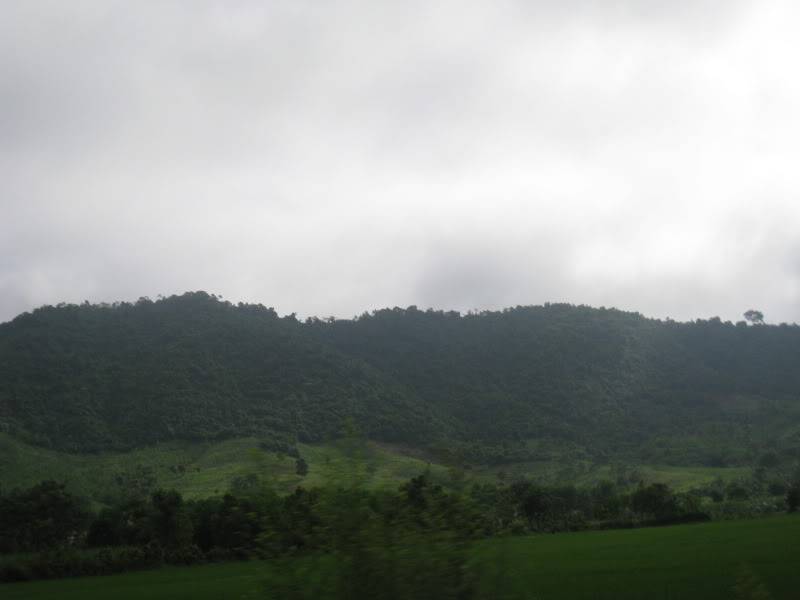 IMG_1870.jpg