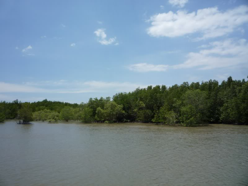 P1030246800x600.jpg