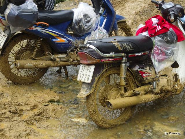 DSC03696.jpg