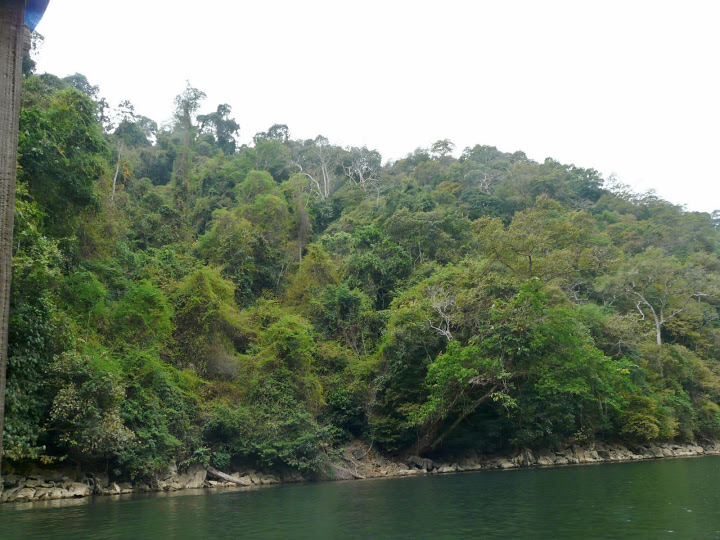 P1050541.JPG