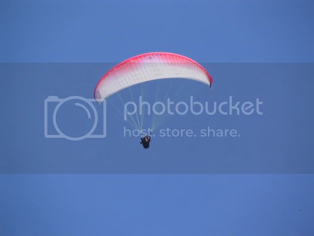 IMG_3653.jpg