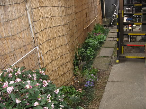 IMG_1975_resize.jpg