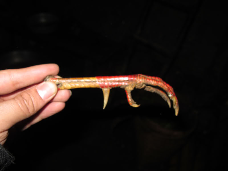 HongNgai2011539.jpg