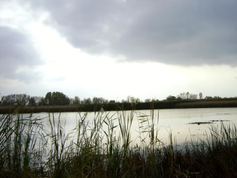 Lake29.jpg