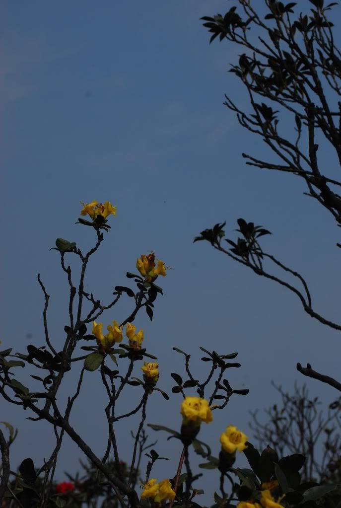 DSC_0055.jpg