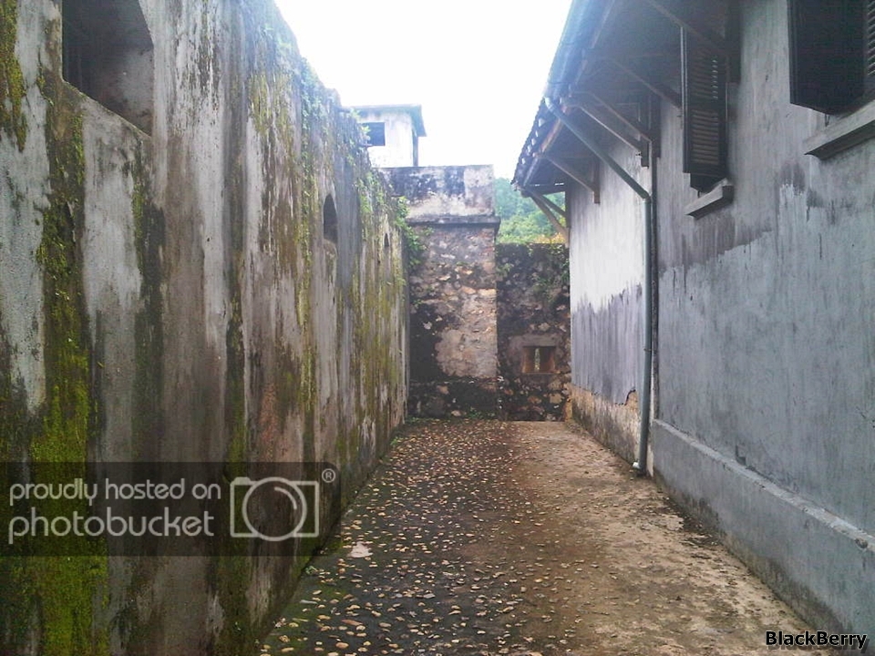 IMG-20120924-00288.jpg