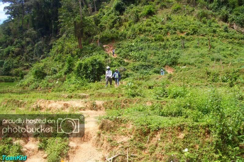 SDC12726.jpg