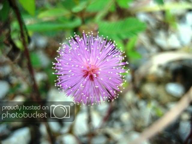 IMG_6155.jpg