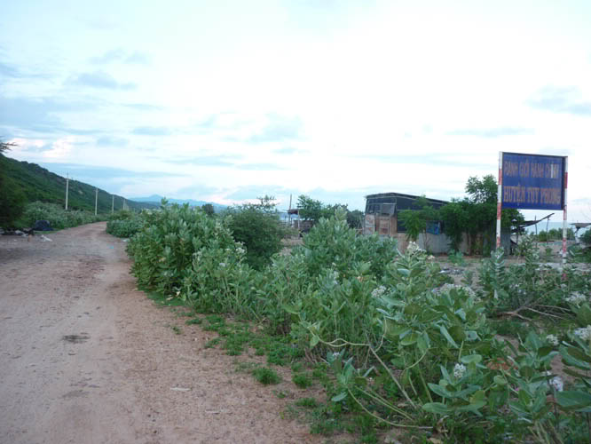 P1370242.jpg