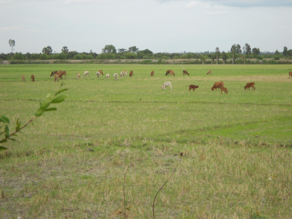 DSCN0149.jpg