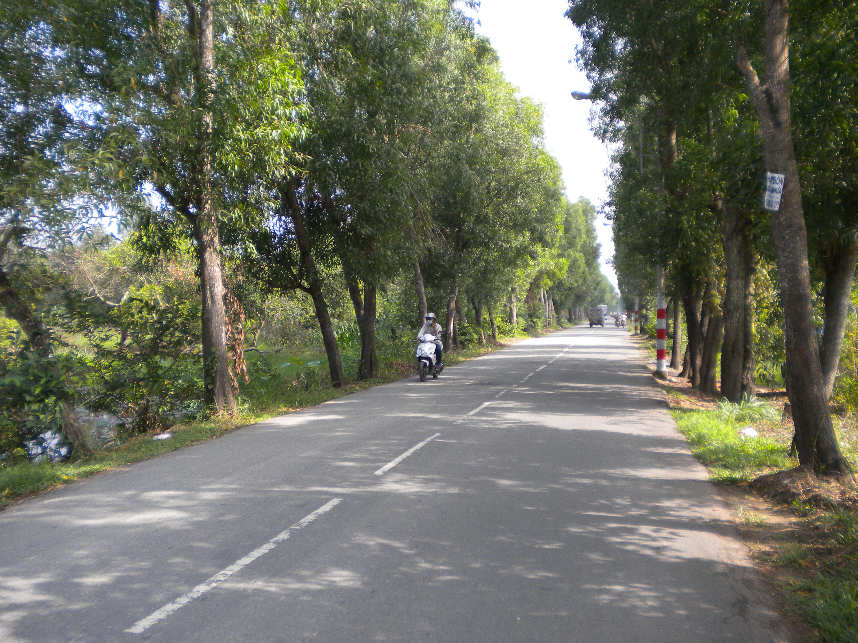 duong-2.jpg
