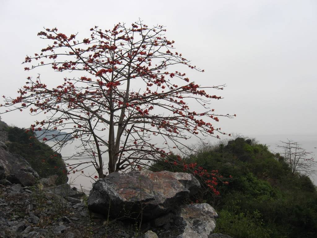 IMG_0715.jpg