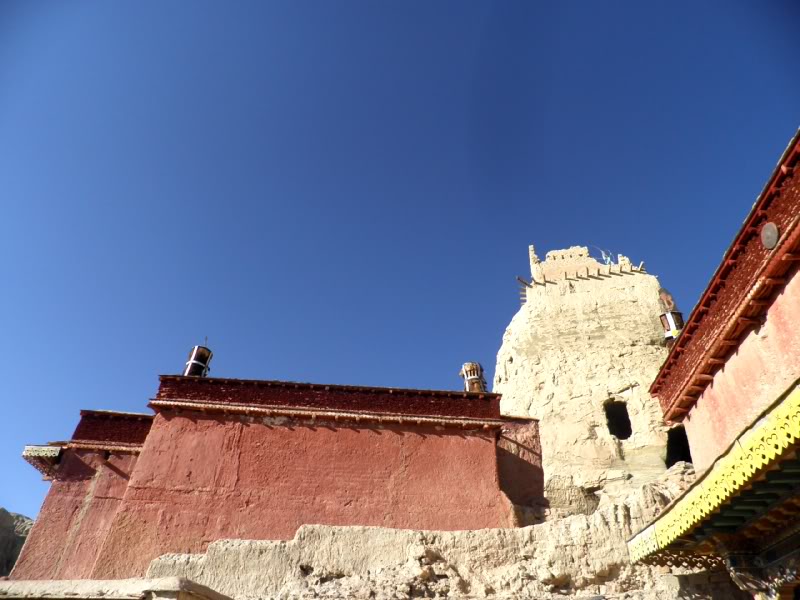 P6290143.jpg