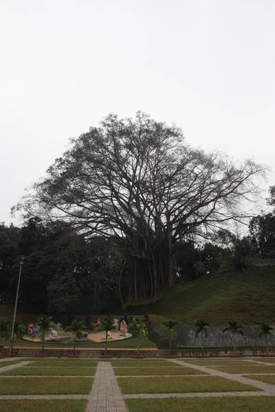 cayda7.jpg