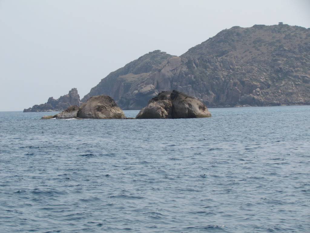 IMG_2623.jpg