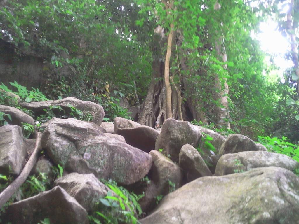 Photo0752.jpg