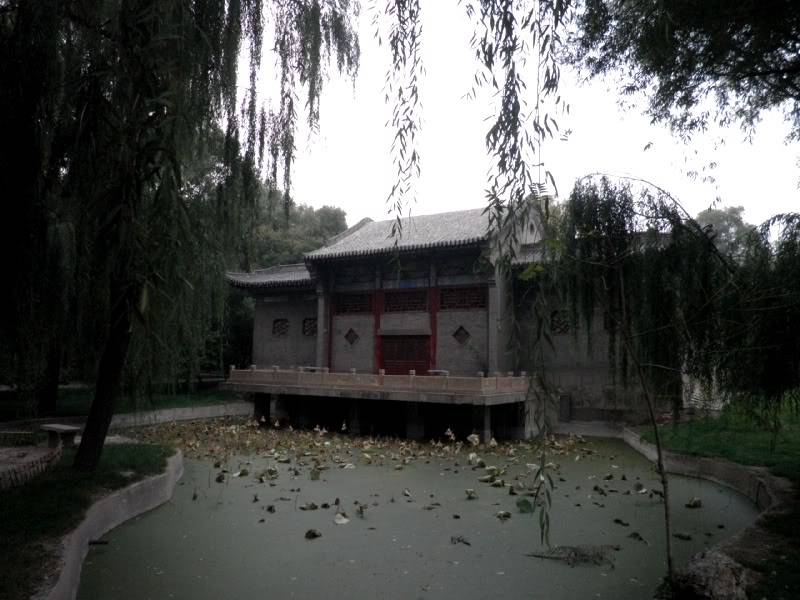 PA120871.jpg