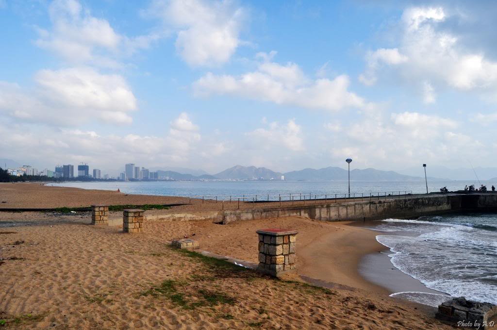 DSC_0107_zps0bdfe277.jpg