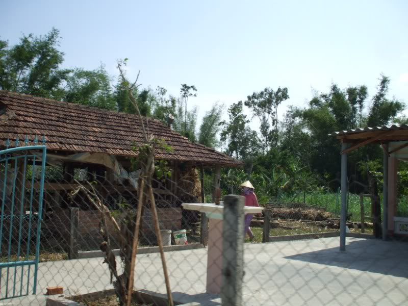 DSCF7266.jpg