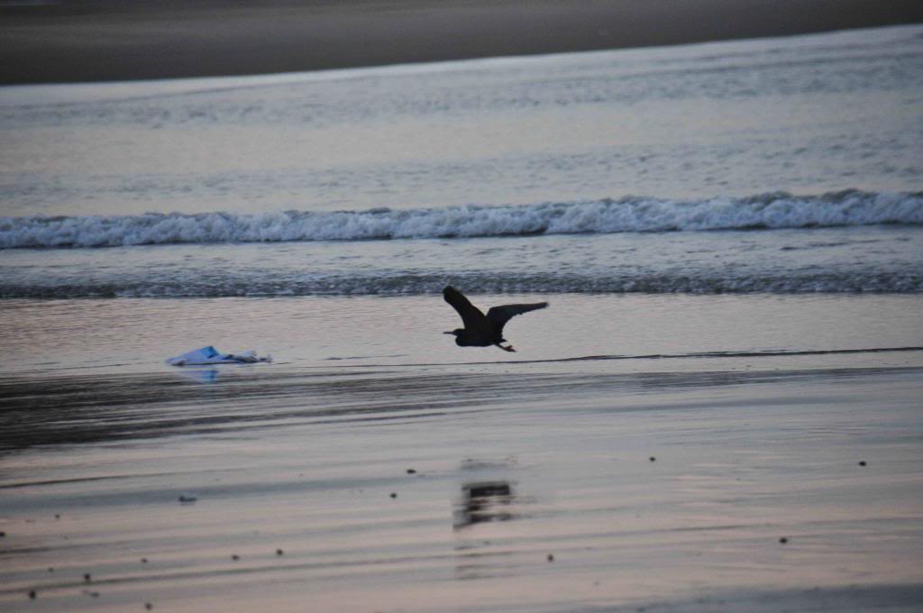 DSC_1983_zps89c1f44d.jpg