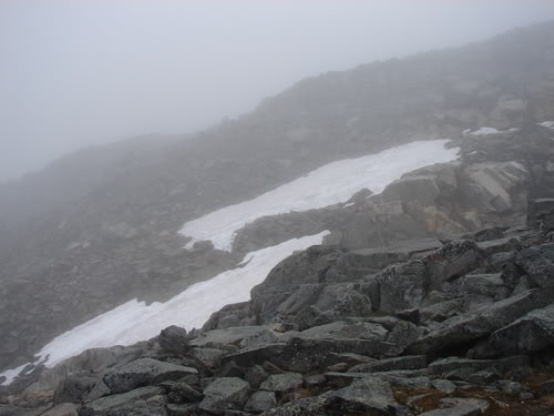 DSC09937.jpg