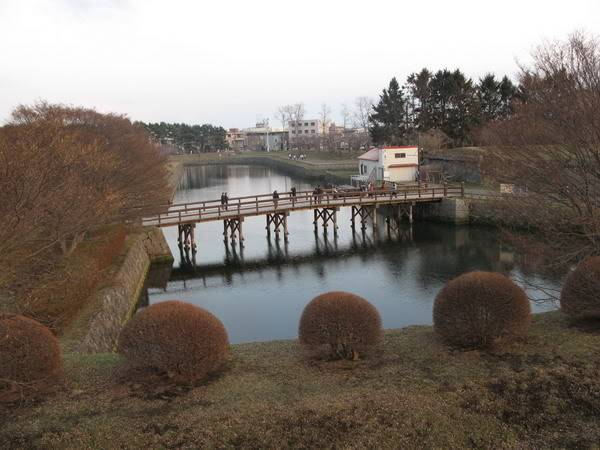 IMG_2884_resize.jpg