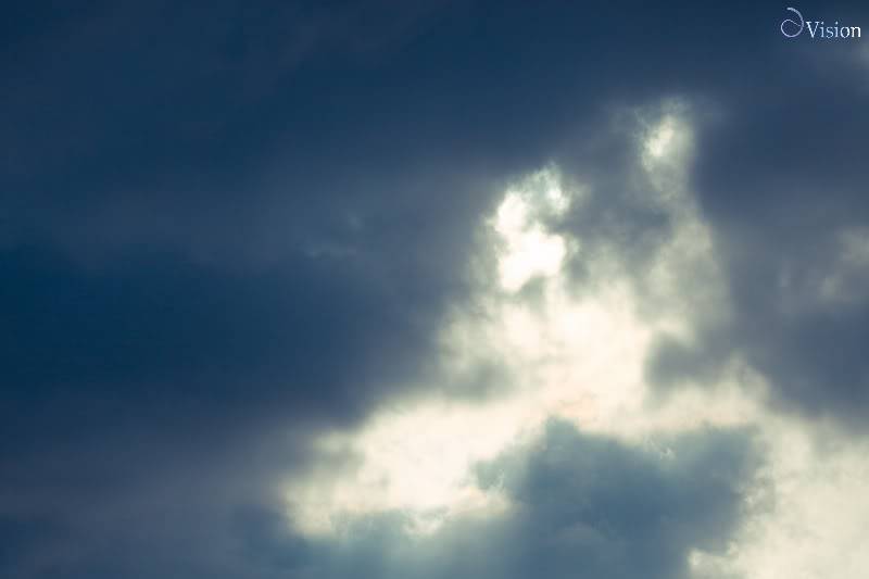 IMG_7688.jpg