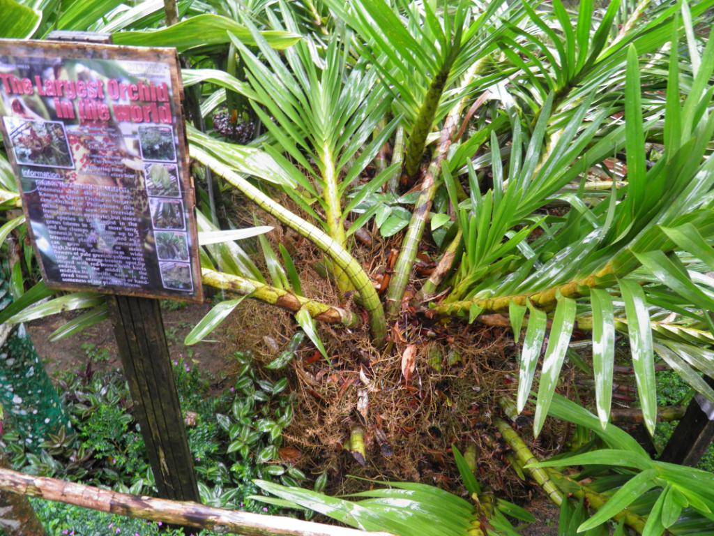PA130743.jpg