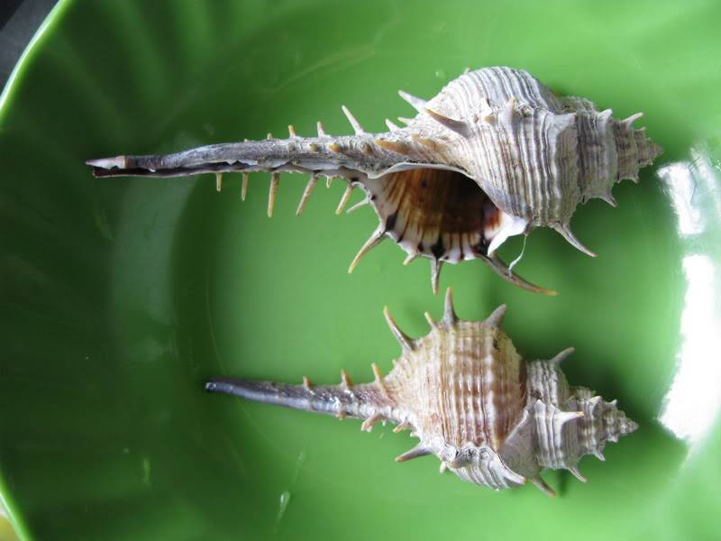 PhuQuoc09_128.jpg