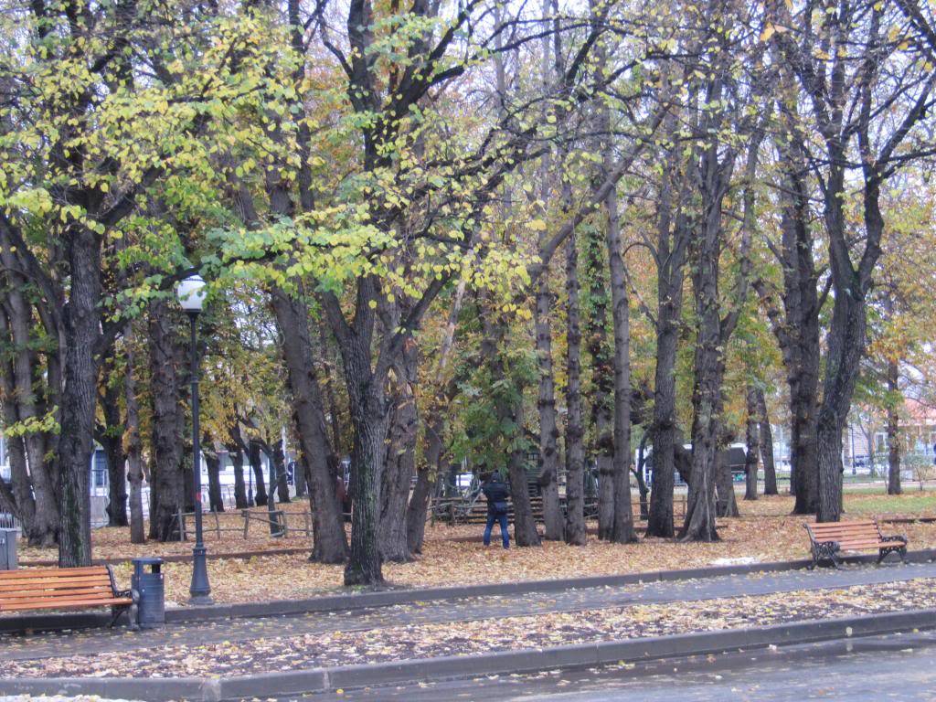 IMG_7440_zpsb2693c96.jpg