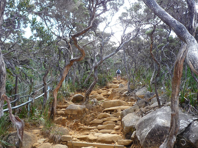 P1100425.JPG