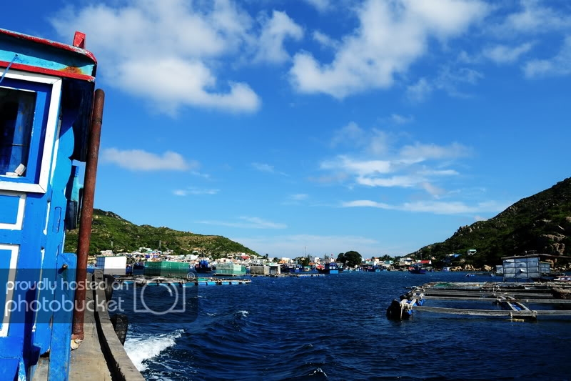 NDP_4397.jpg