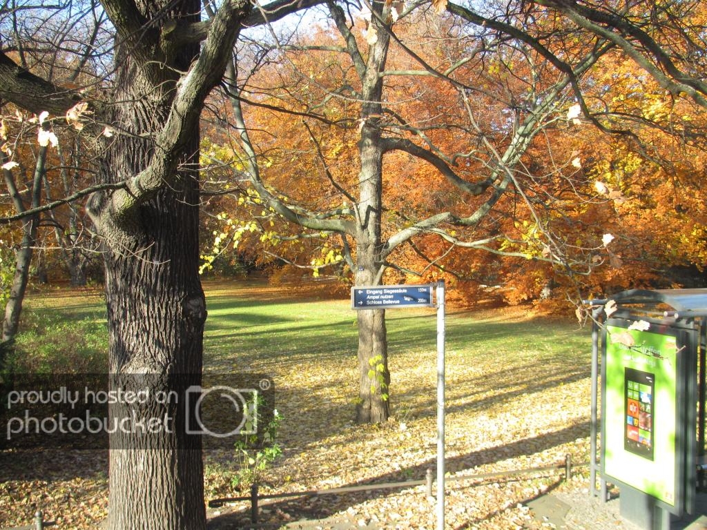 IMG_2262_zps23abea31.jpg
