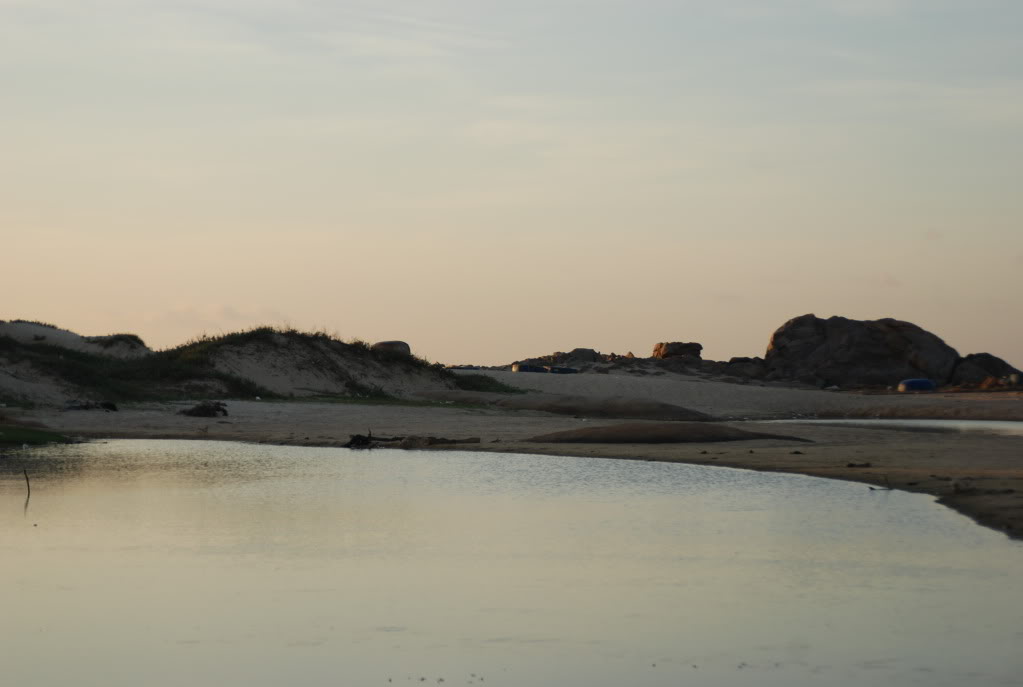 DSC_2978.jpg