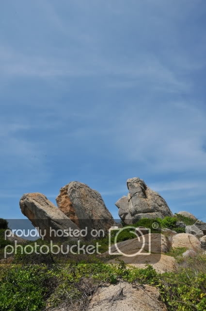 DSC_1855.jpg