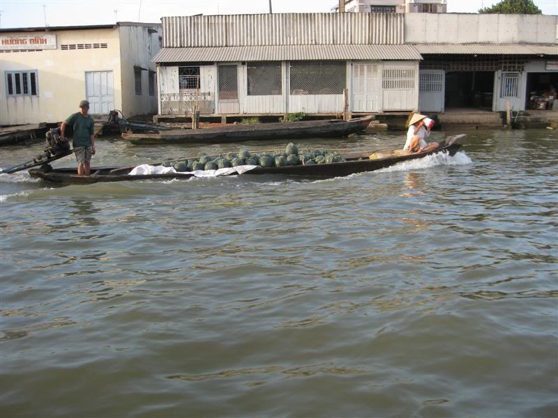 IMG_2215Medium.jpg