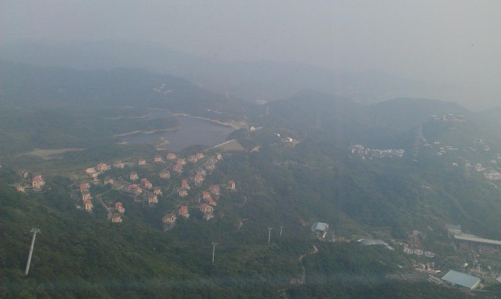 IMAG3174_zps01426534.jpg