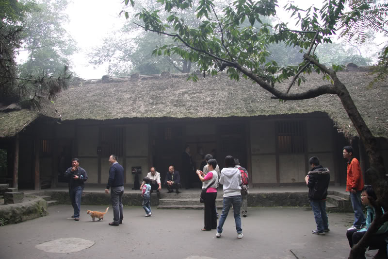 nhatranhdophu4.jpg