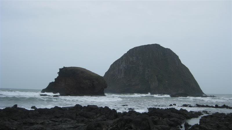 IMG_4858Medium.jpg