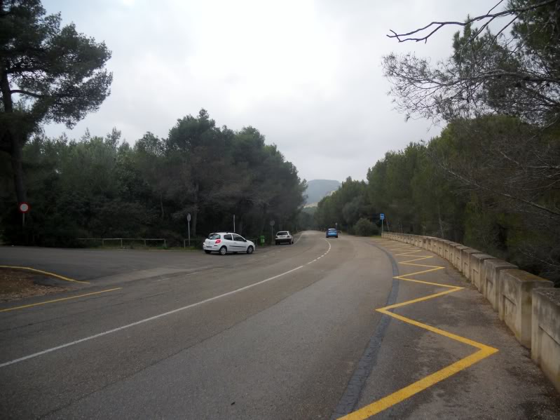 DSCN6638.jpg