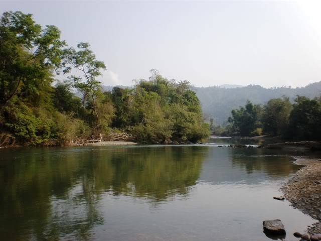 P2030439.jpg