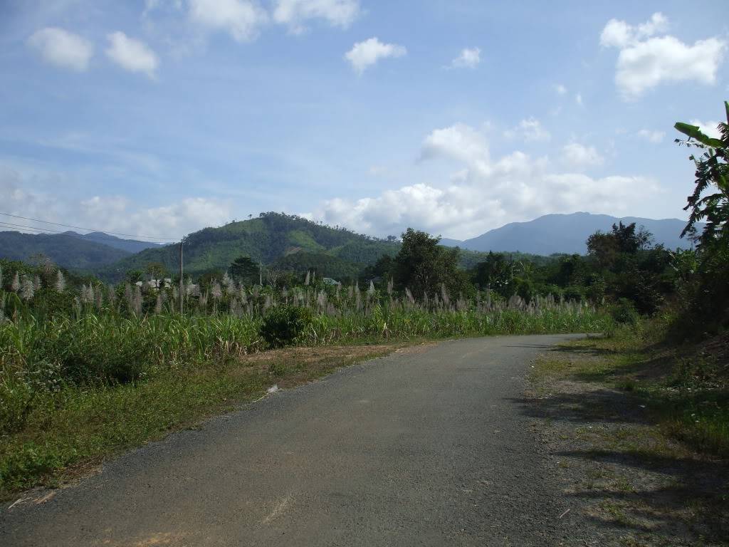 DSCF42321.jpg