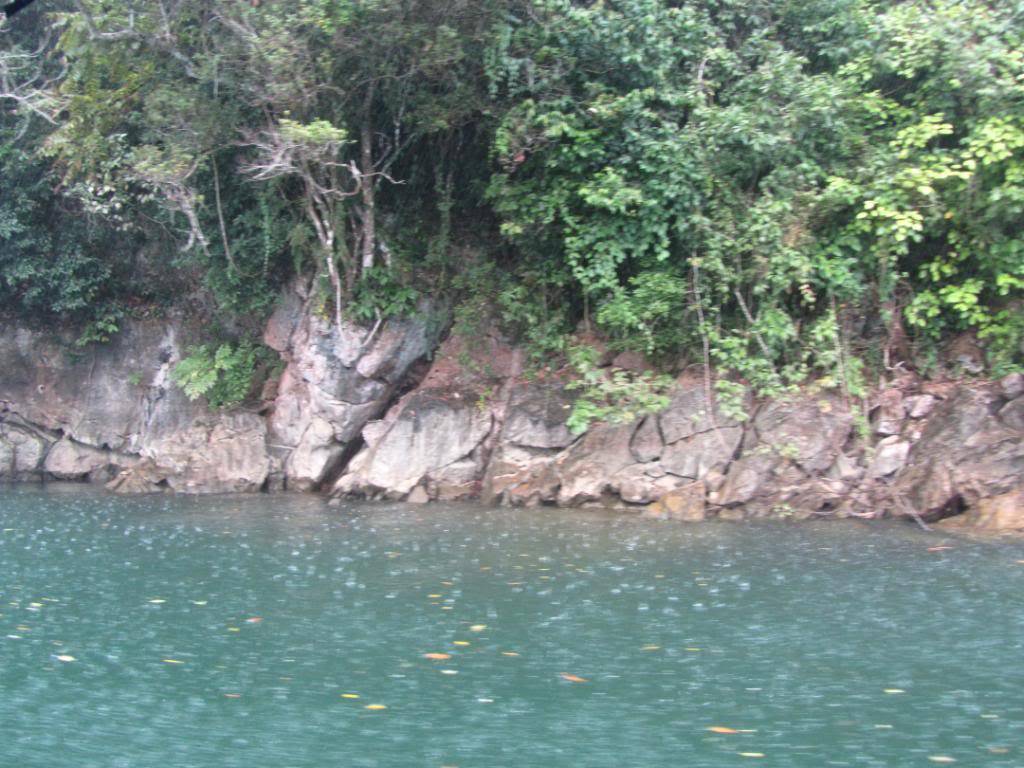 IMG_14552.jpg