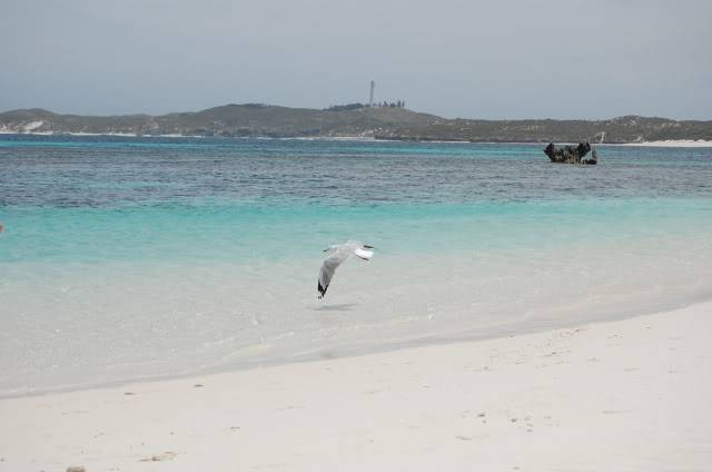 DSC_0793.jpg