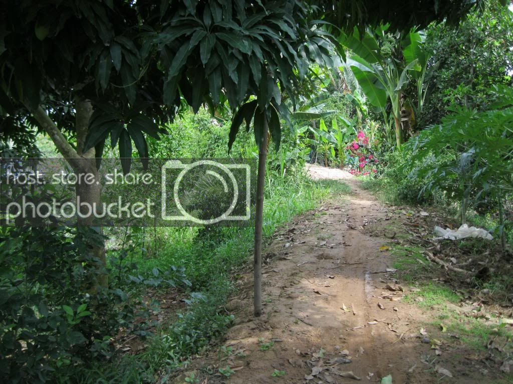 IMG_0315_zpsc2cc52db.jpg